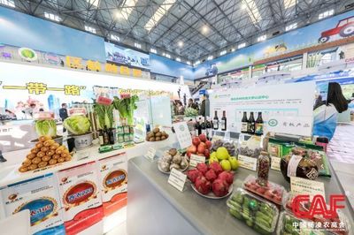 農(nóng)高會淘寶攻略 一站式電子商務信息咨詢指南